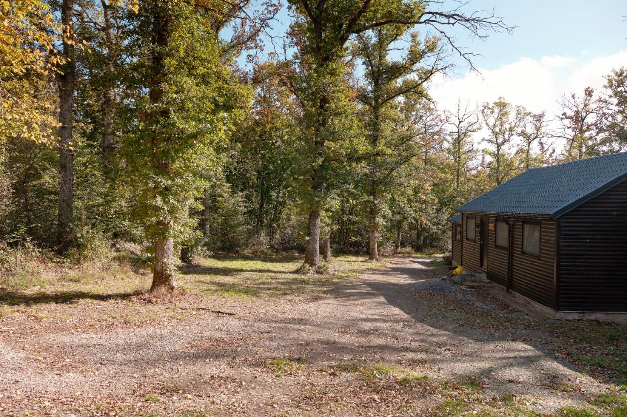 Chalet D'Un Ami Somme-Leuze Bagian luar foto